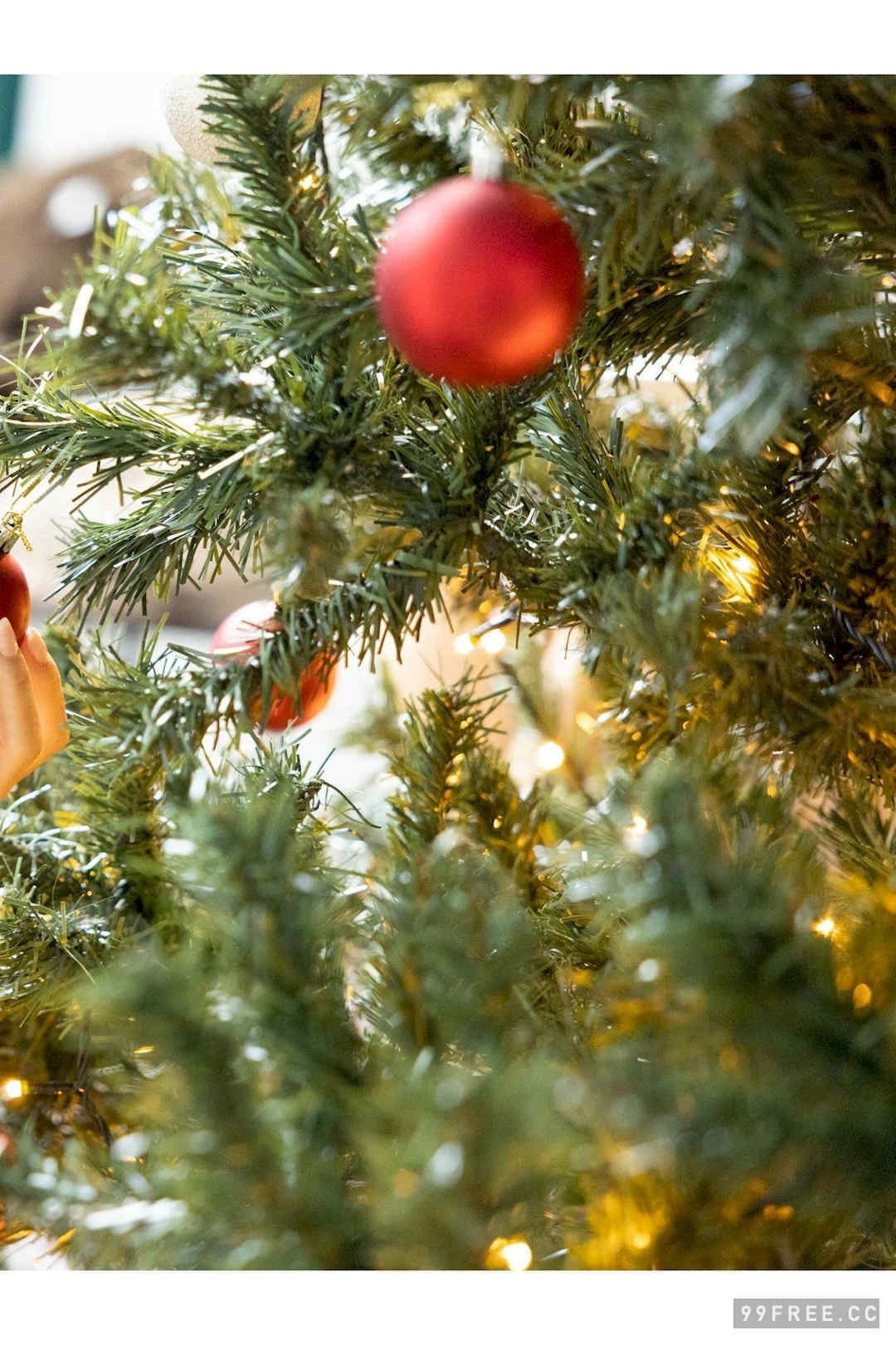 森ふう花&柊きき写真集《双子の秘め事》高清全本