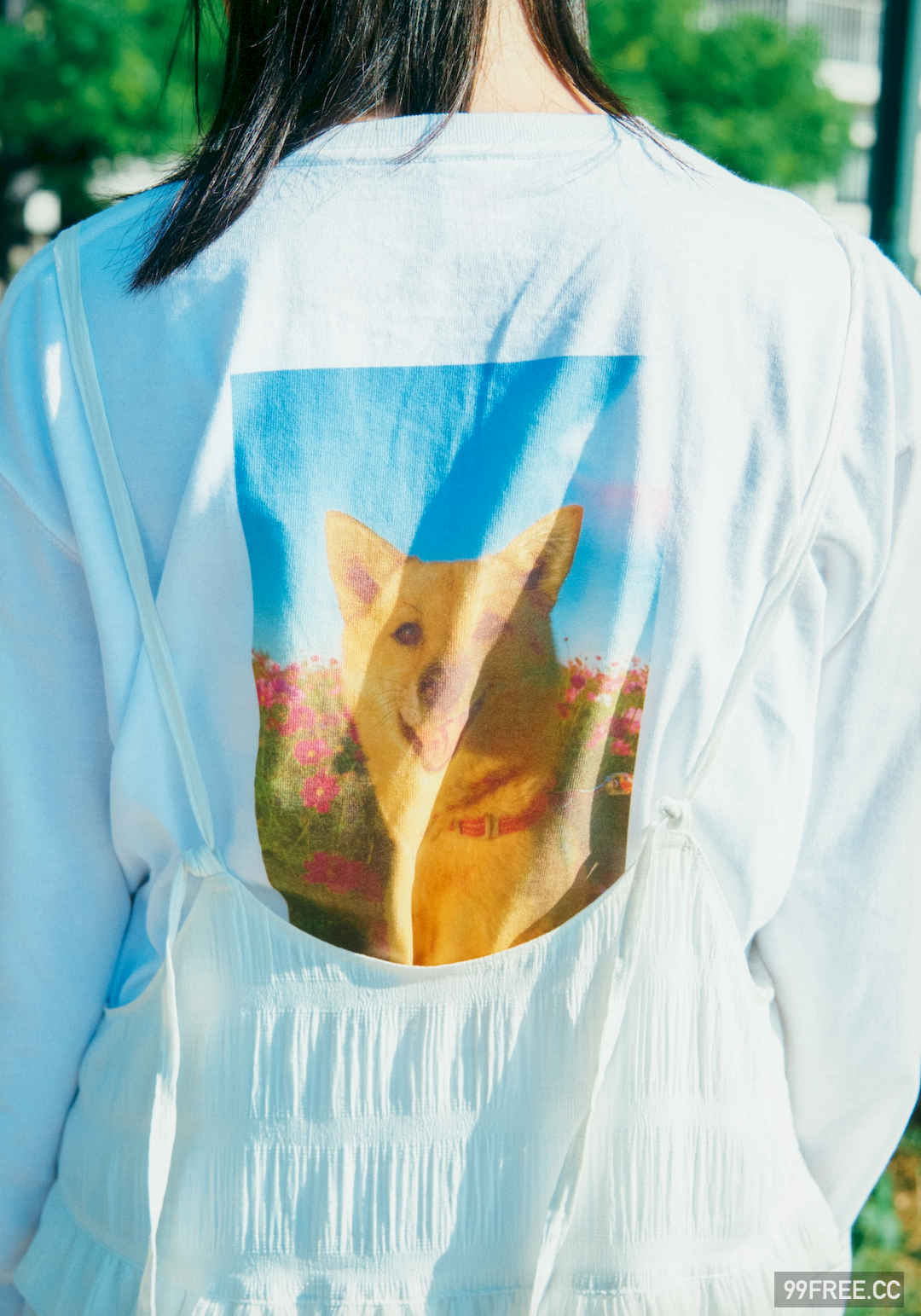 泷野由美子写真集《マインドスケープ》高清全本