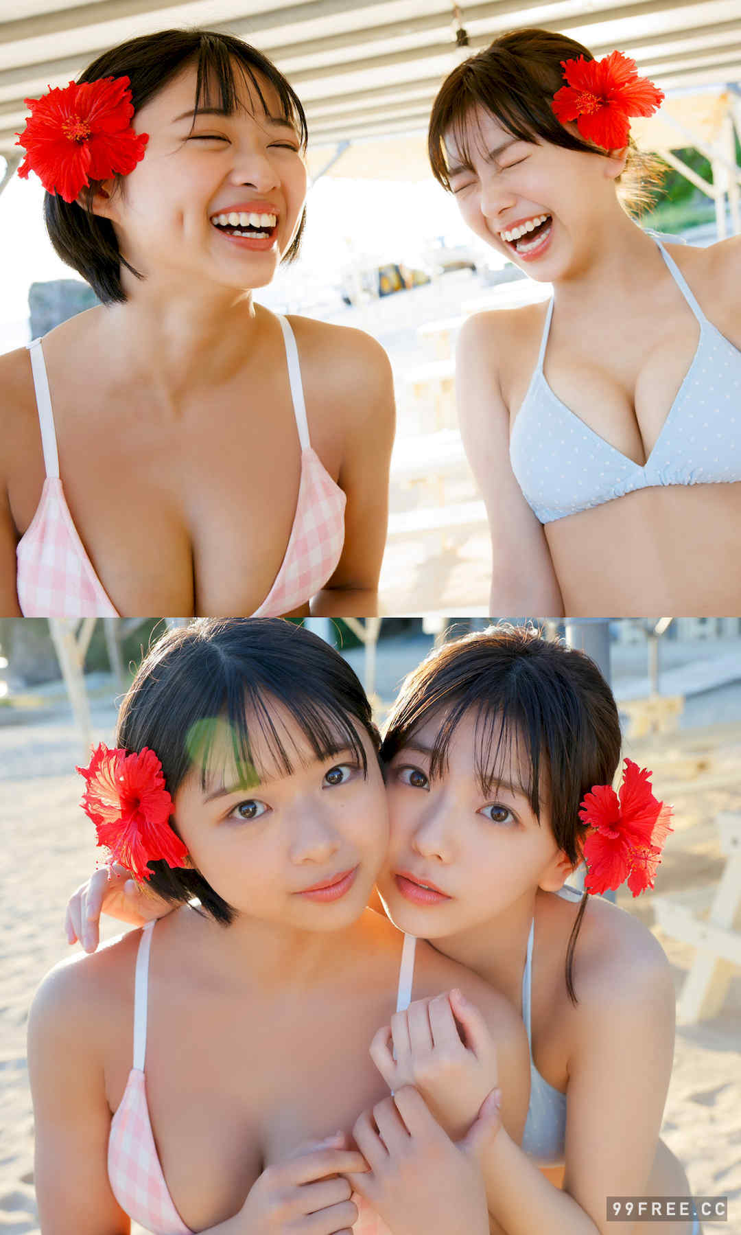 桑岛海空&大熊杏优&纪内乃秋&本乡柚巴写真集《seju4姉妹》高清全本