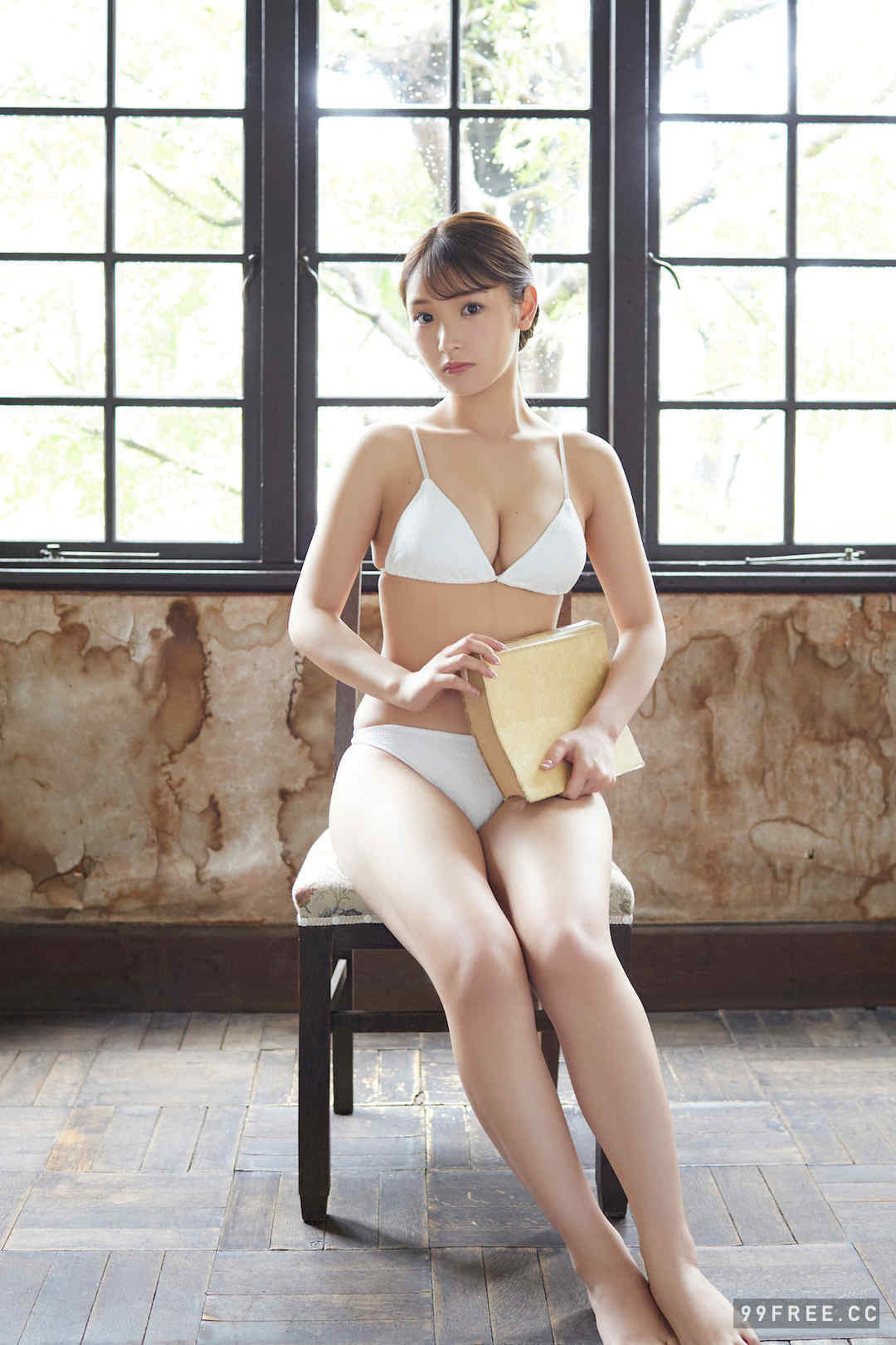 藤园丽写真集《パンドラの匣》高清全本