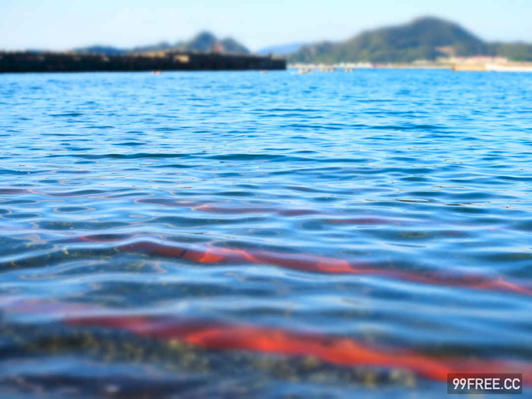 谷かえ写真集《君と出会えて》高清全本