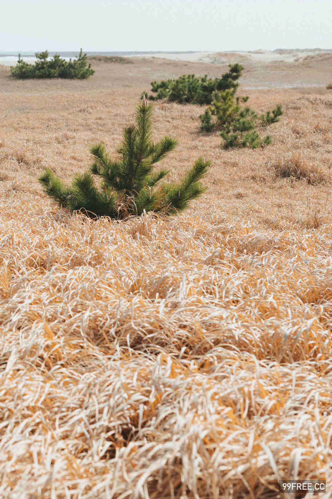 蛭田爱梨写真集《危ないラストティーン　ｖｏｌ．１》高清全本