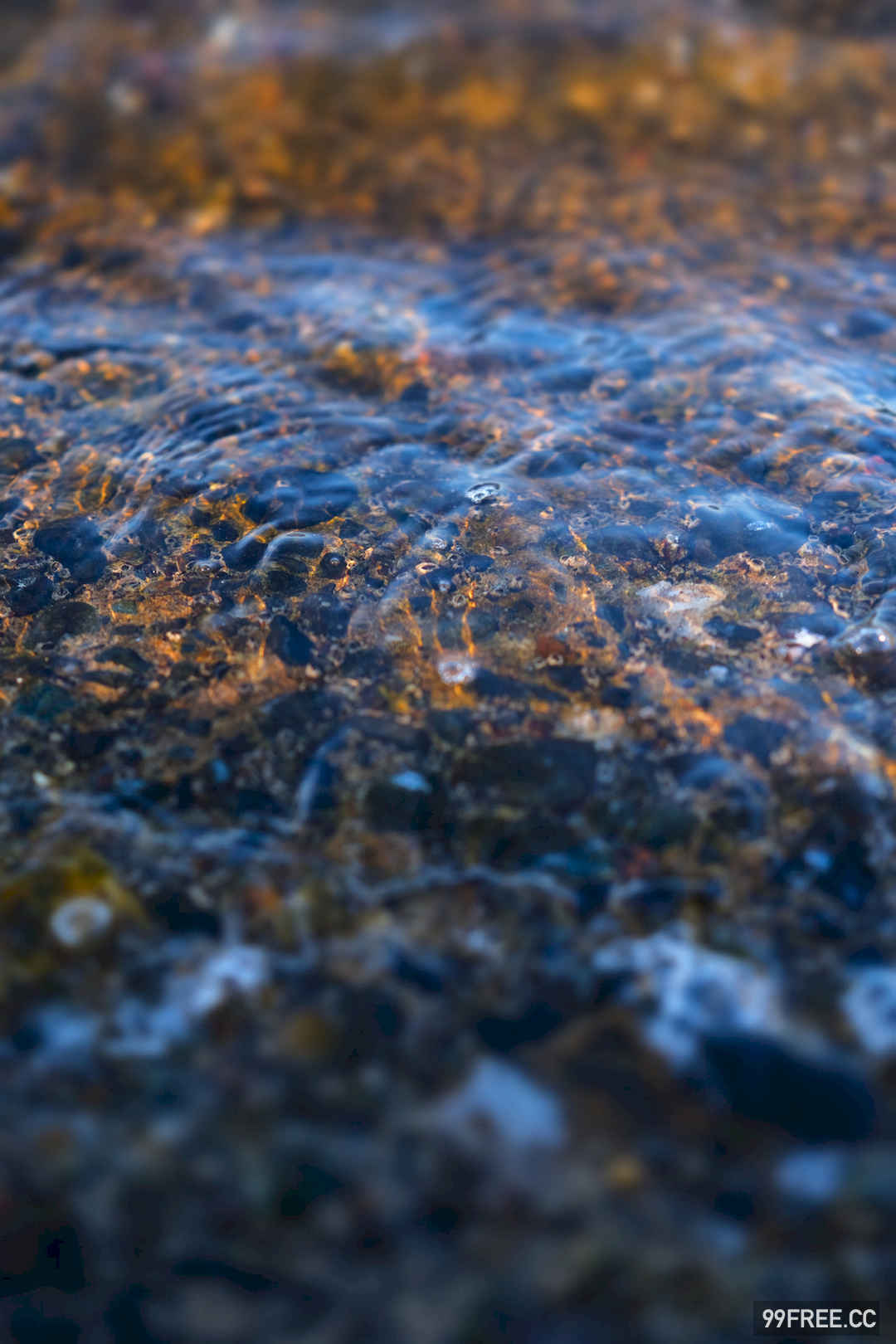 谷かえ写真集《君と出会えて》高清全本