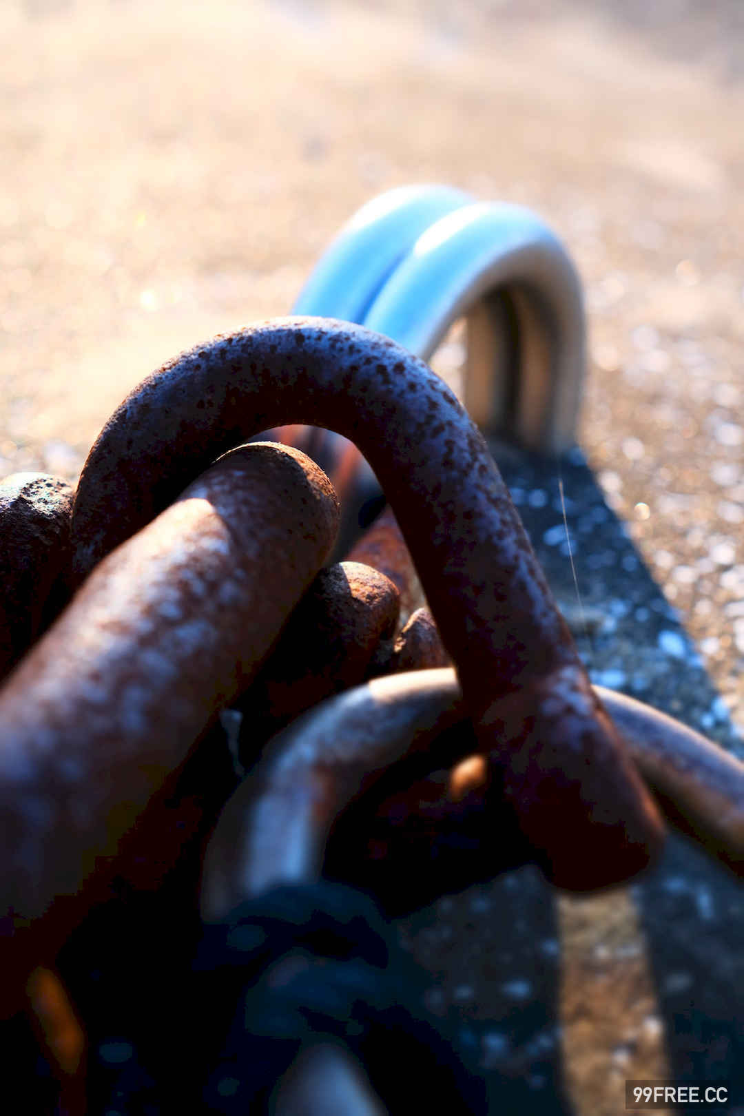 谷かえ写真集《君と出会えて》高清全本