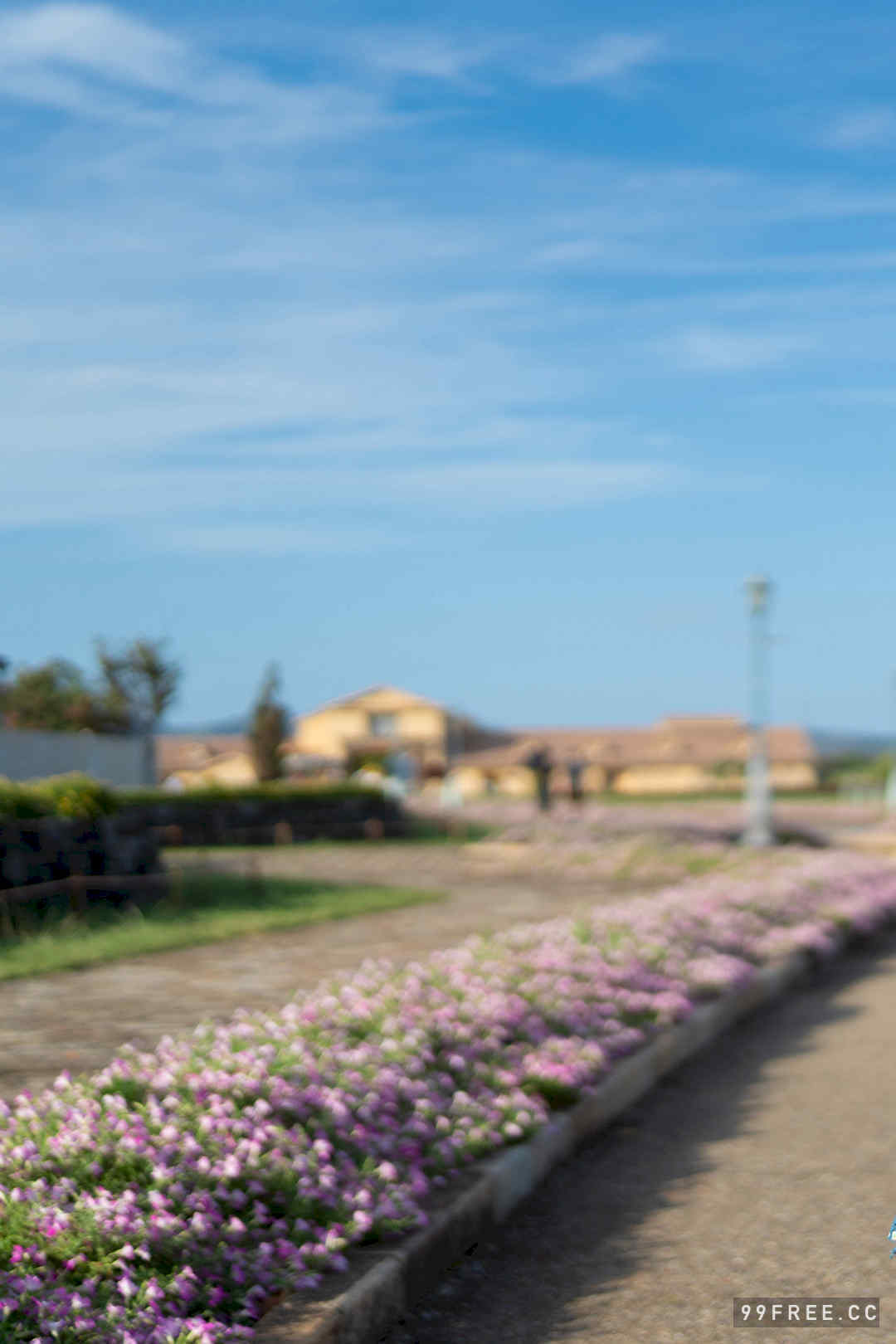 峰岛こまき写真集《ぜんぶ詰め込んで、夏。》高清全本