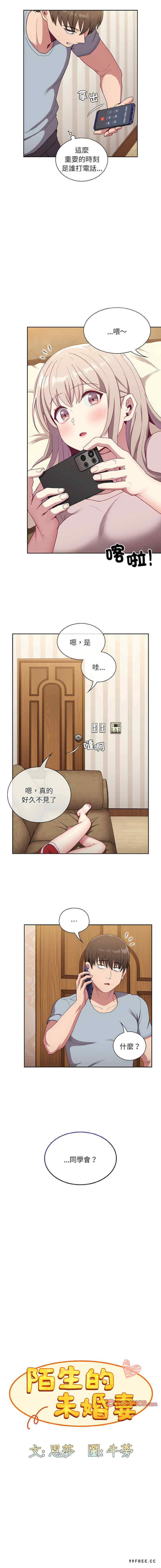 不请自来的未婚妻/陌生的未婚妻