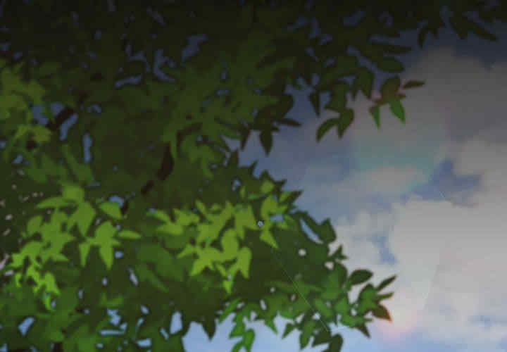 小孩子才做选择