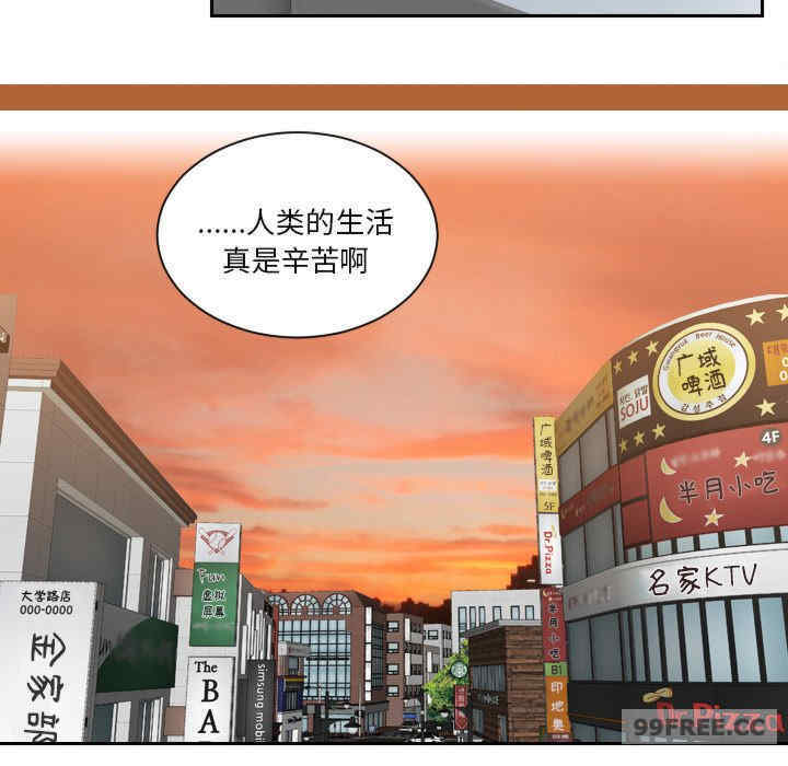 我的专属娃娃/我的完美娃娃