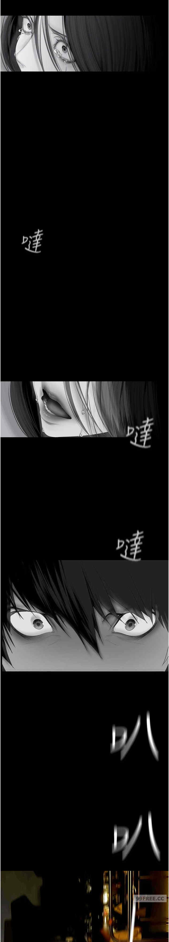 美丽新世界
