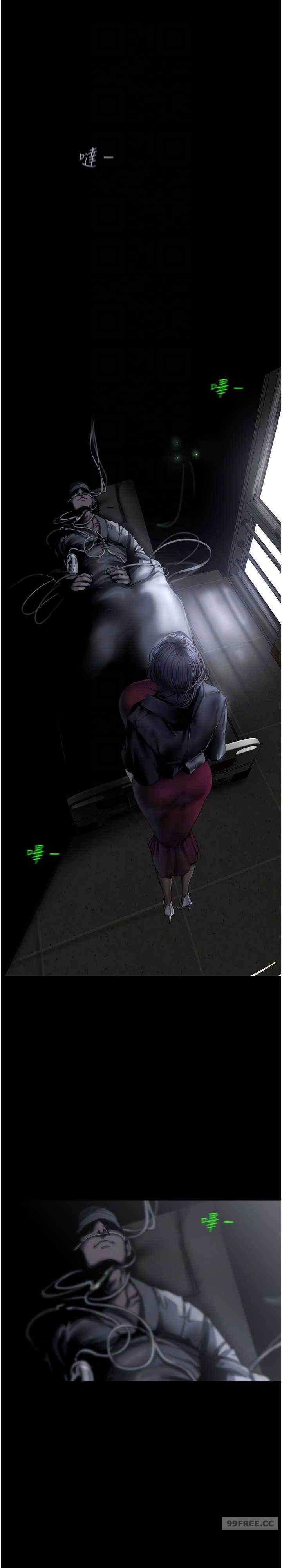 美丽新世界