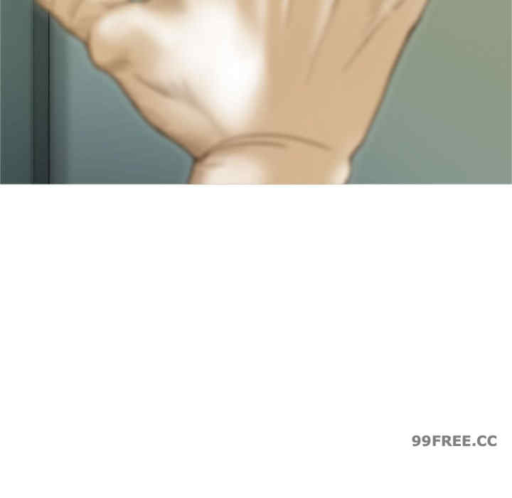 不可抗拒的吸引/放任诱惑