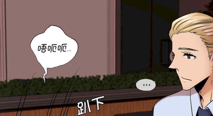 年轻代表/不该爱上你