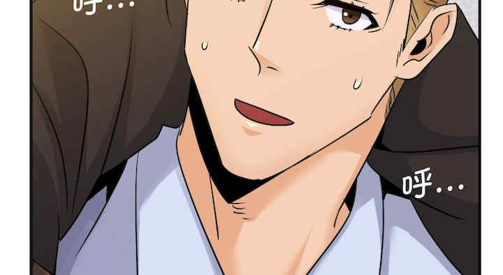 年轻代表/不该爱上你