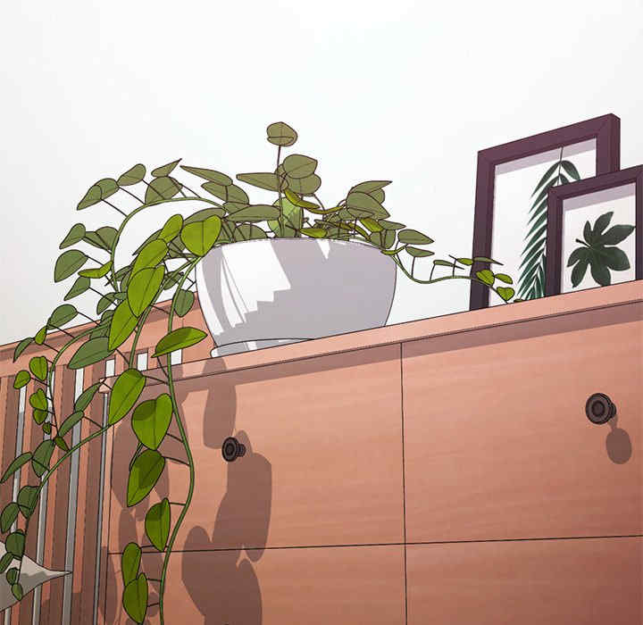 返乡后的春天/要在乡下一起生活吗?