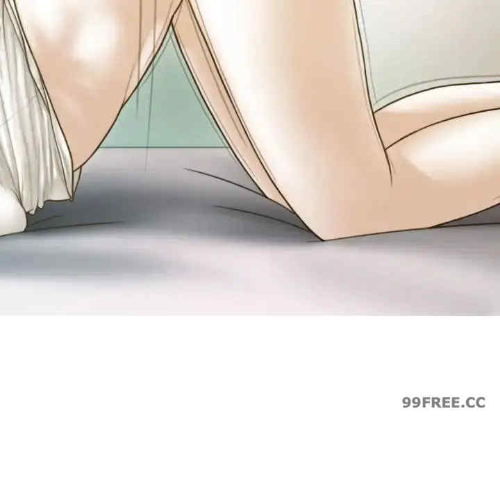 不可抗拒的吸引/放任诱惑