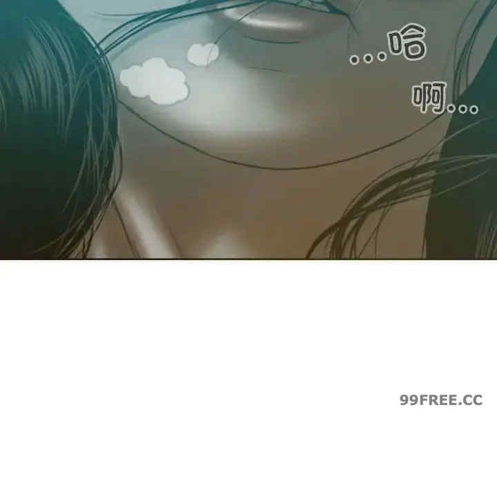 不可抗拒的吸引/放任诱惑