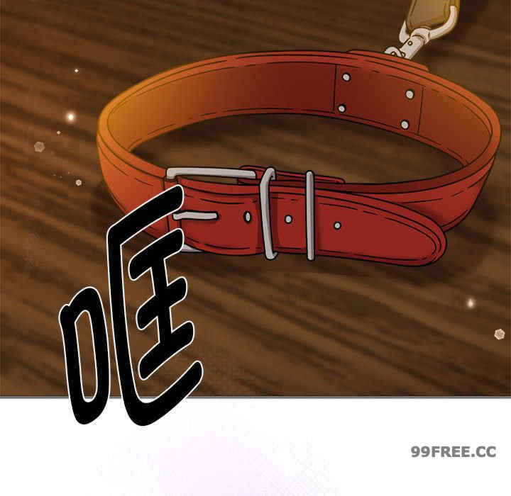 欢迎加入粉丝团/粉丝招募中