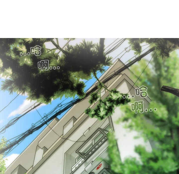 不可抗拒的吸引/放任诱惑