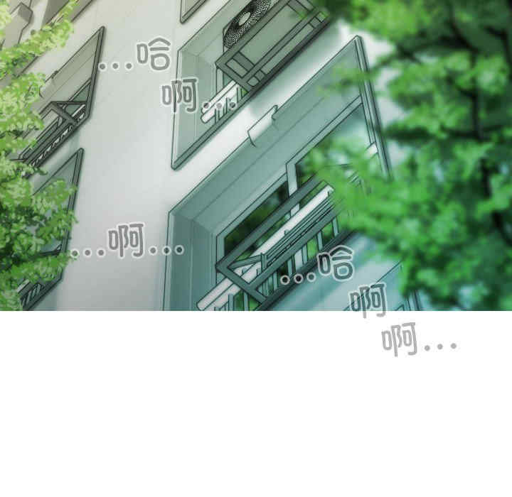 不可抗拒的吸引/放任诱惑