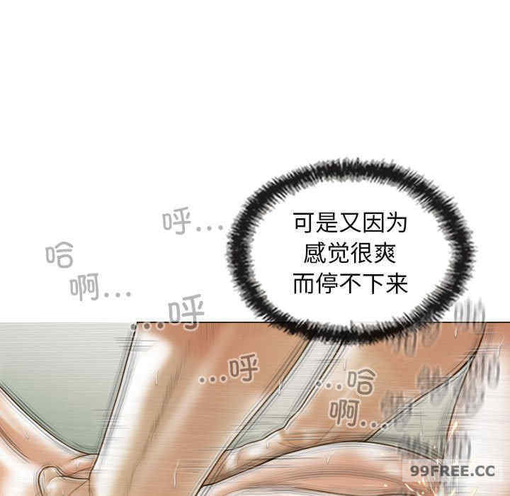 不可抗拒的吸引/放任诱惑