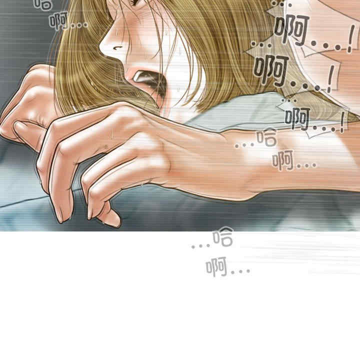 不可抗拒的吸引/放任诱惑