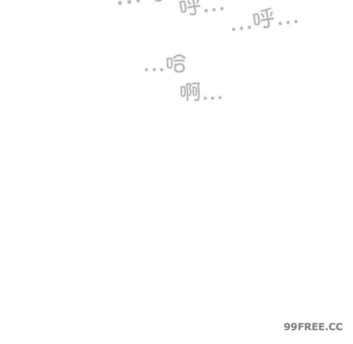 不可抗拒的吸引/放任诱惑