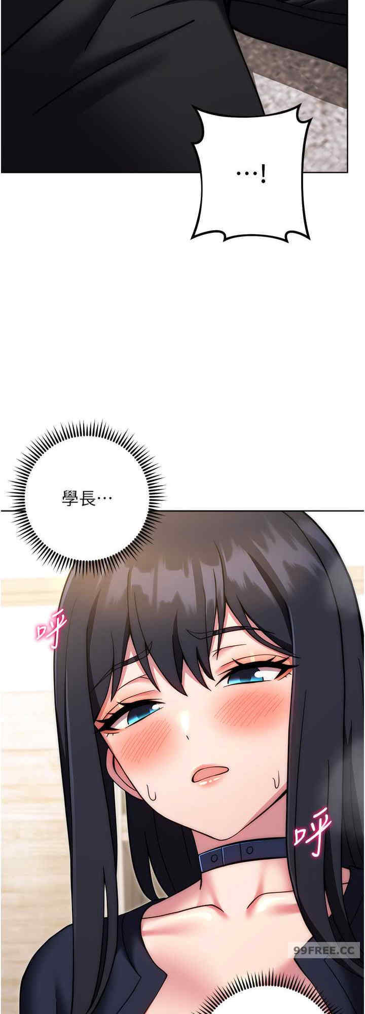 恋爱选择题/练爱选择题