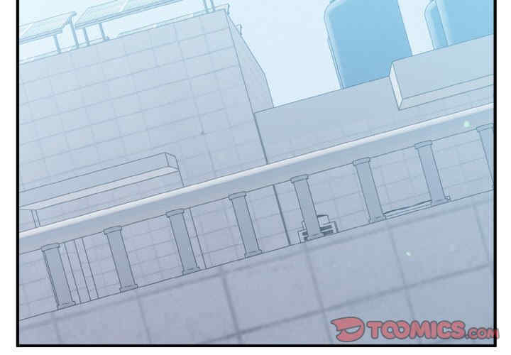 打脸的告白/教训告白