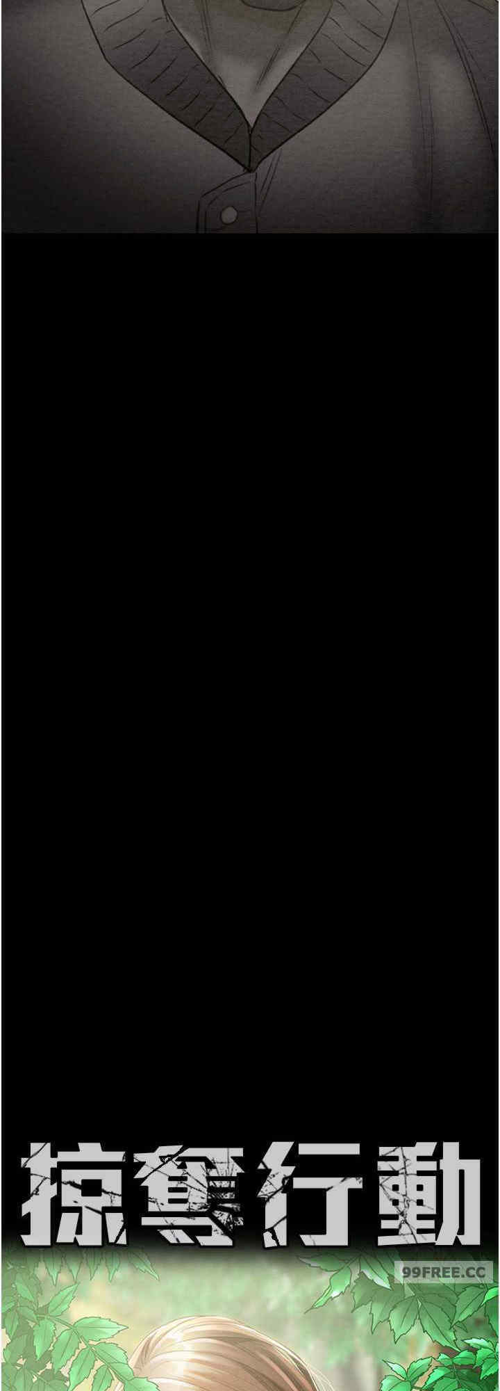 掠夺行动/抢夺的滋味