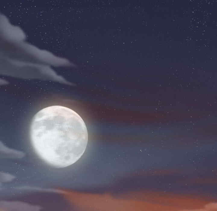 不可抗拒的吸引/放任诱惑