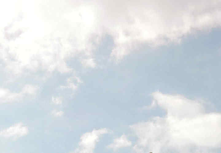 可以爱你吗/似曾相识的她