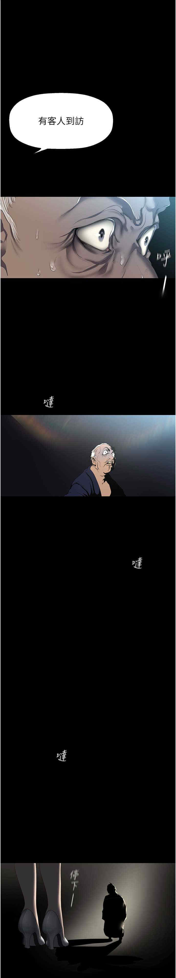 美丽新世界