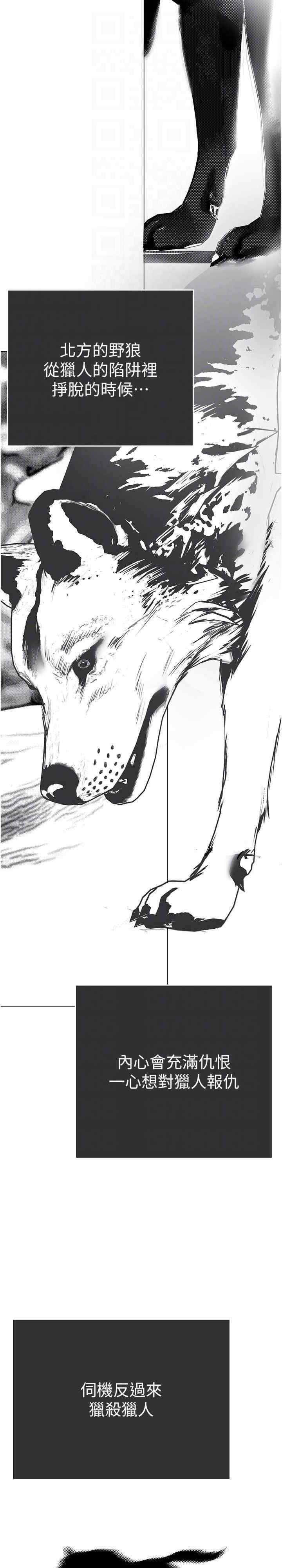 美丽新世界