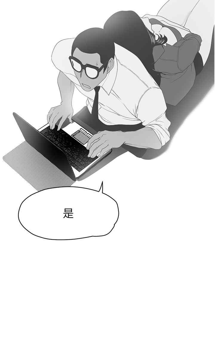 美丽新世界