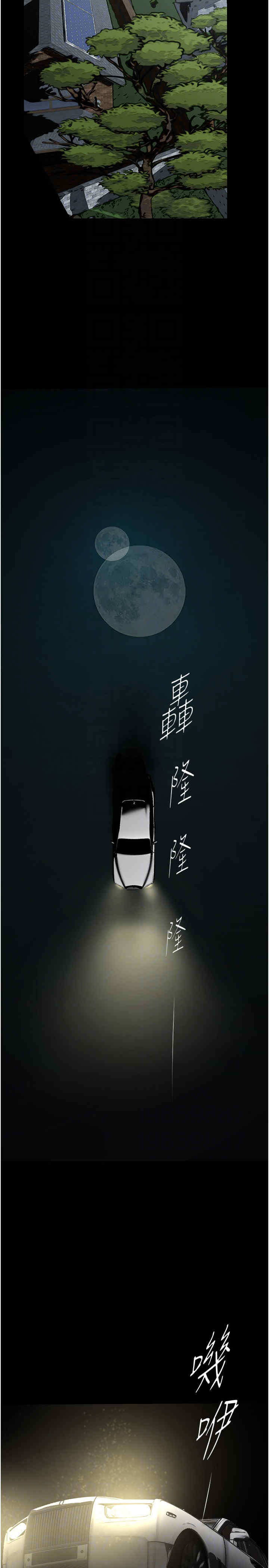 美丽新世界
