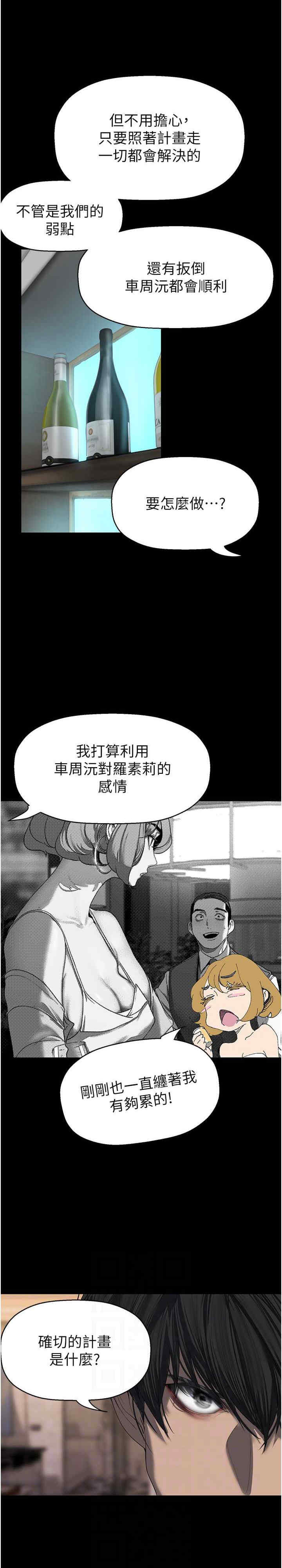 美丽新世界