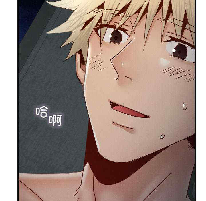 年轻代表/不该爱上你