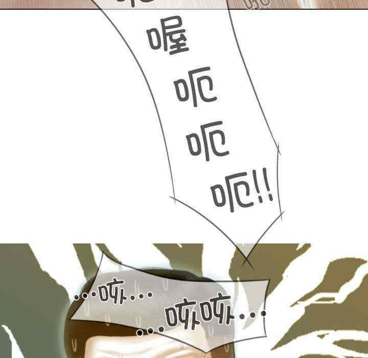 不可抗拒的吸引/放任诱惑