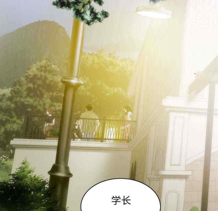 不可抗拒的吸引/放任诱惑