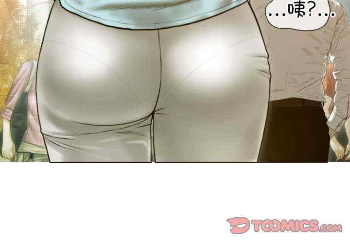 不可抗拒的吸引/放任诱惑