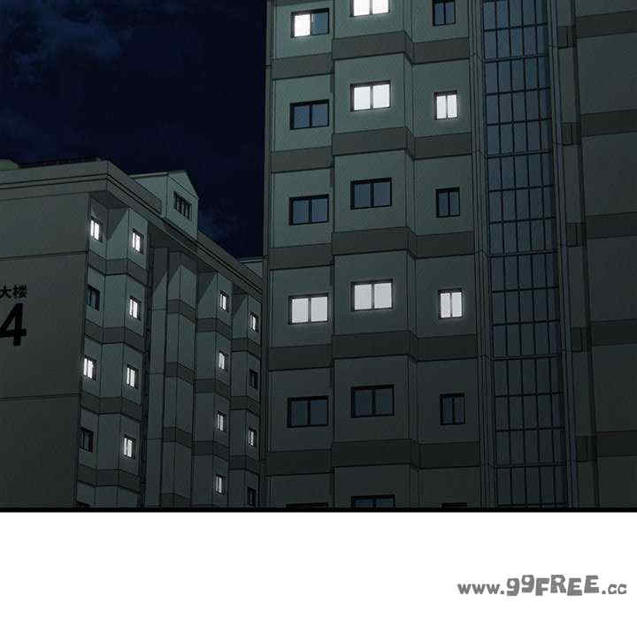 年轻代表/不该爱上你