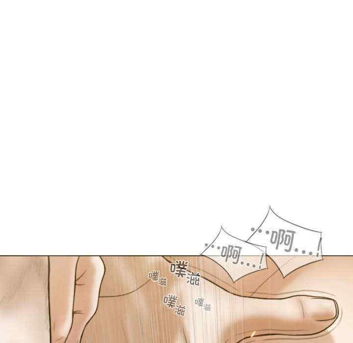 不可抗拒的吸引/放任诱惑