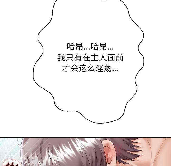 重生之长枪无敌/重生成为大只佬