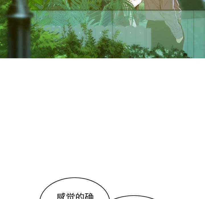 不可抗拒的吸引/放任诱惑