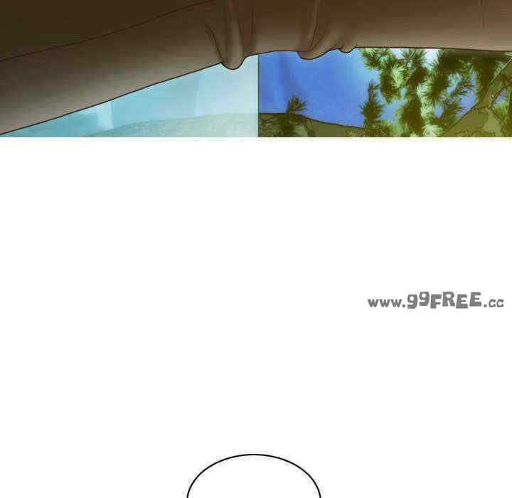 不可抗拒的吸引/放任诱惑