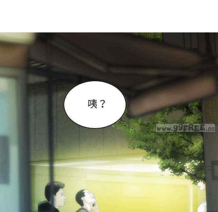 不可抗拒的吸引/放任诱惑