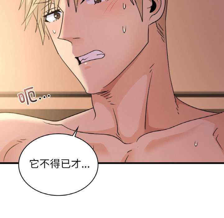 年轻代表/不该爱上你