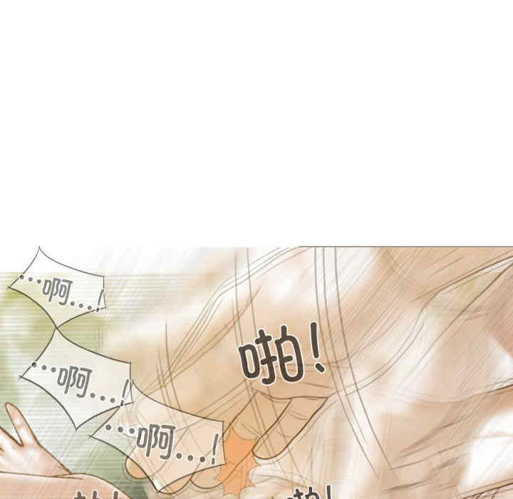 不可抗拒的吸引/放任诱惑