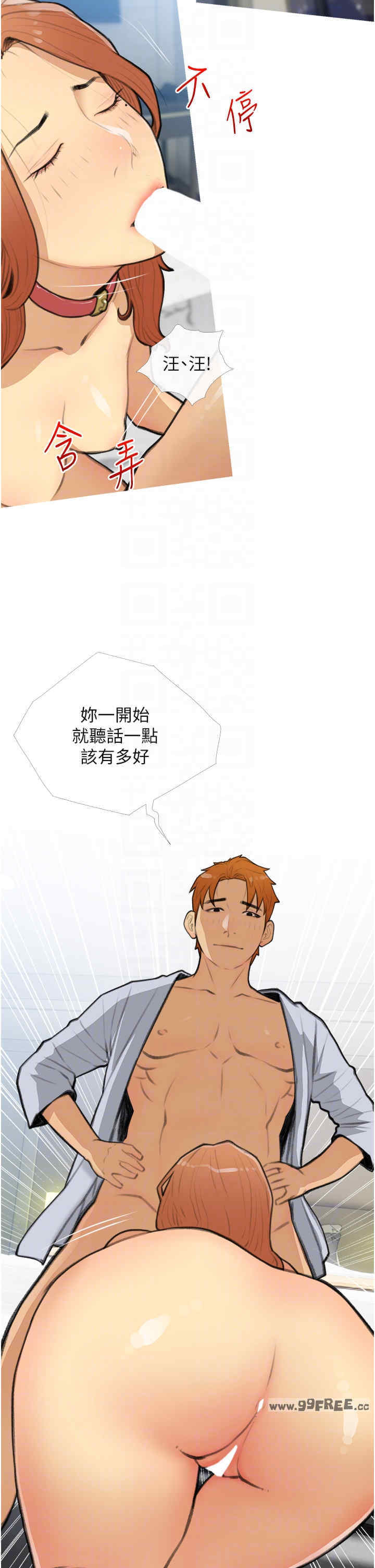 糖果爸爸的抢婚大作战