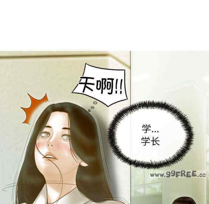 不可抗拒的吸引/放任诱惑